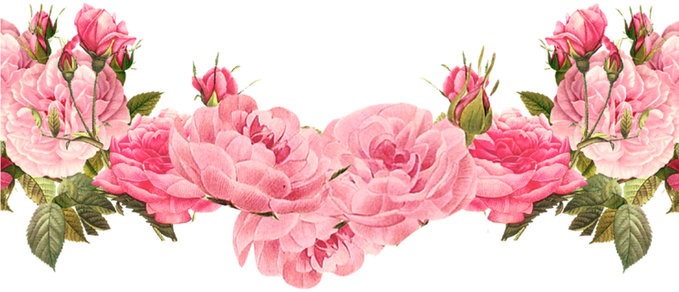 Pink Rose Floral Border PNG