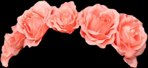 Pink Rose Floral Crown PNG