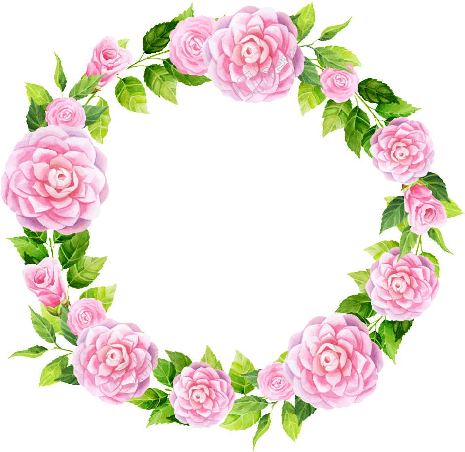 Pink Rose Floral Frame PNG