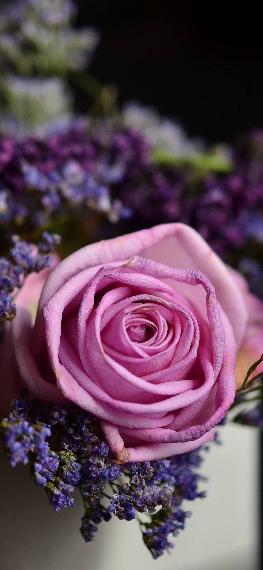 Fondode Pantalla De Celular Con Flores De Rosa Rosadas. Fondo de pantalla