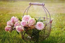 Pink Rose Flowers In Basket Wallpaper