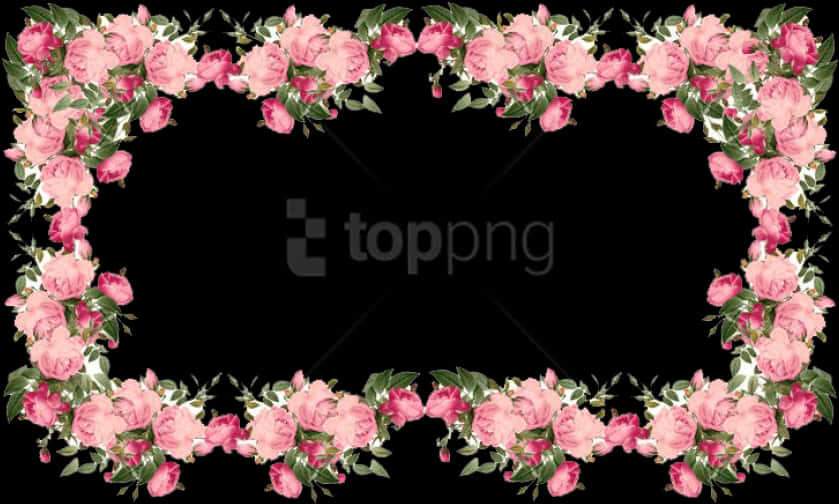 Pink Rose Frame Black Background PNG