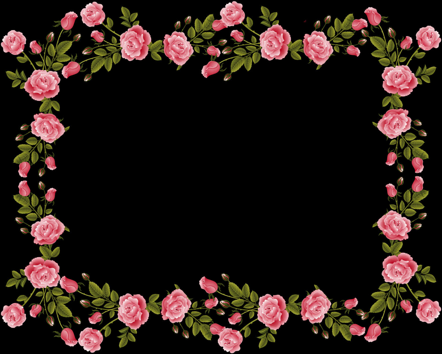Pink Rose Frameon Black Background PNG