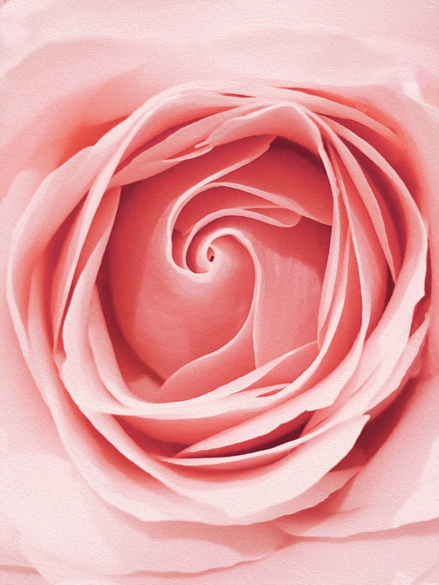Unbellissimo Bouquet Di Petali Di Fiori Rosa Oro Rosa Sfondo