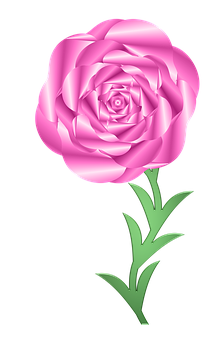 Pink Rose Graphic Art PNG
