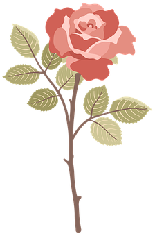 Pink Rose Illustration PNG