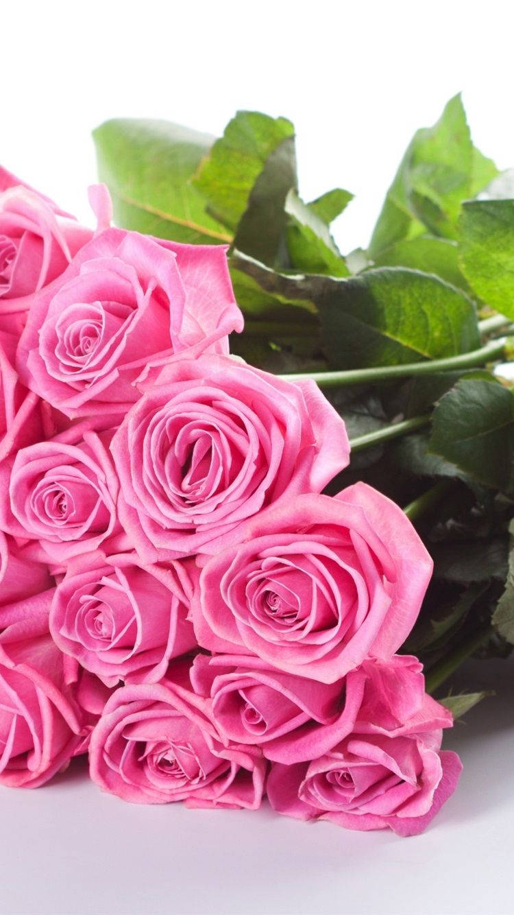 Pink Rose iPhone Bouquet Wallpaper