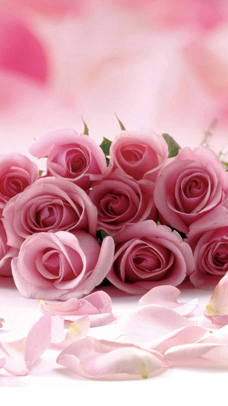 Bouquetdi Rose Rosa Per Iphone E Petali Sfondo