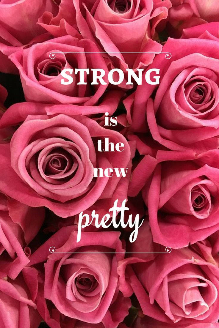 Pink Rose iPhone Inspirational Quote Wallpaper