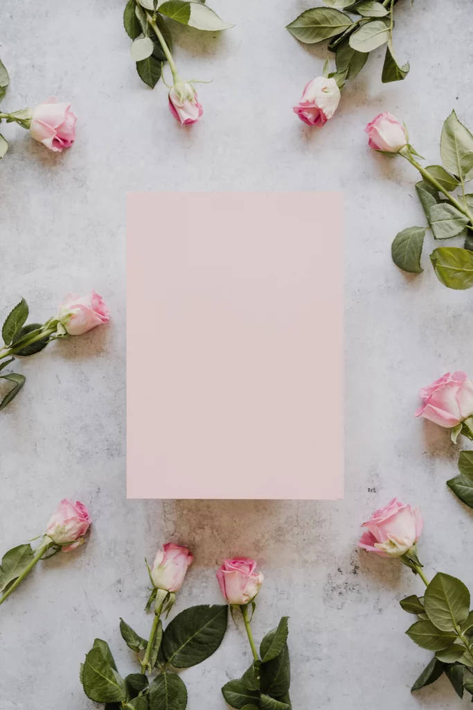Enchanting Pink Rose Wallpaper for iPhones Wallpaper