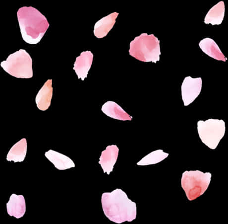 Pink Rose Petals Black Background PNG