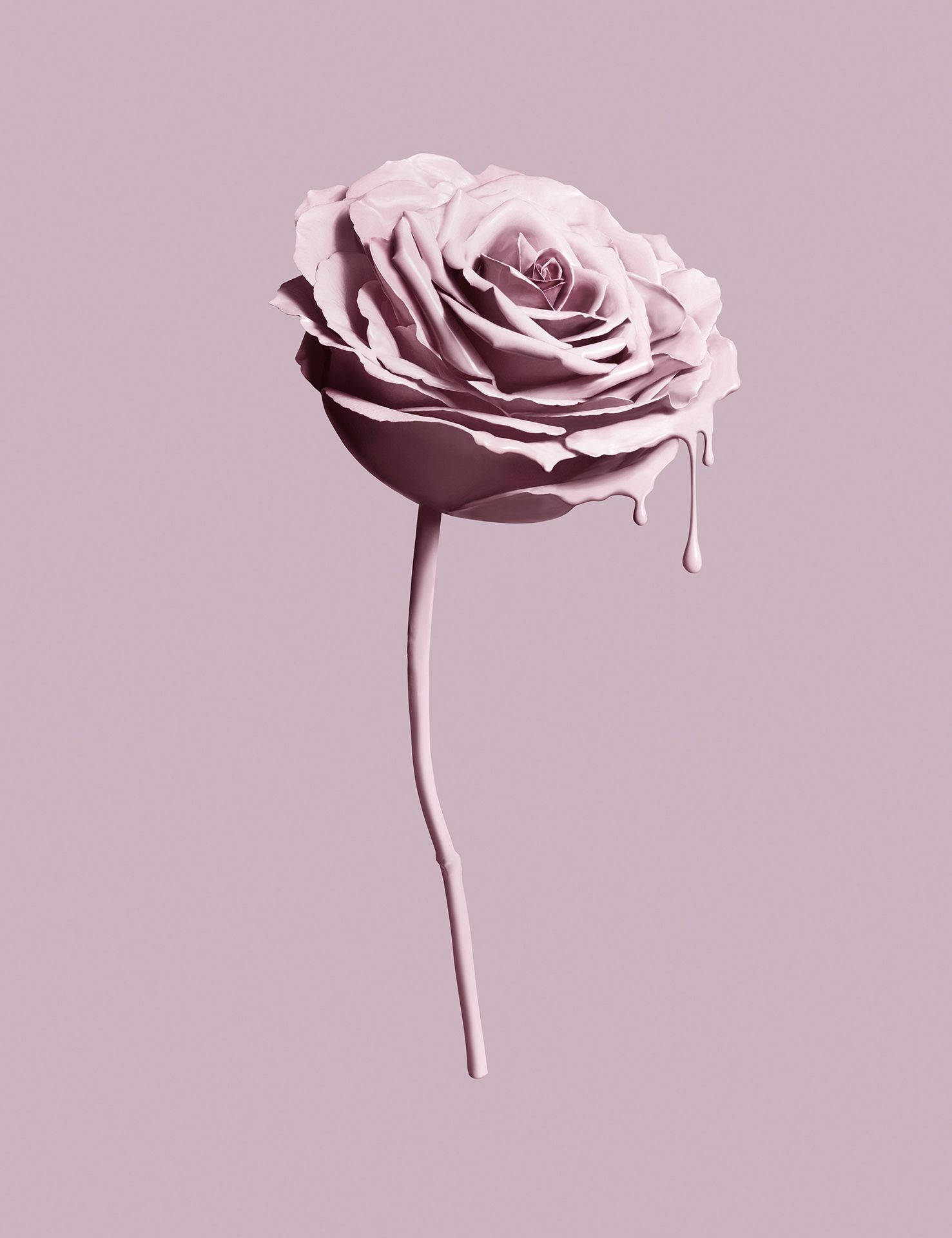 Pink Rose Tumblr Aesthetic