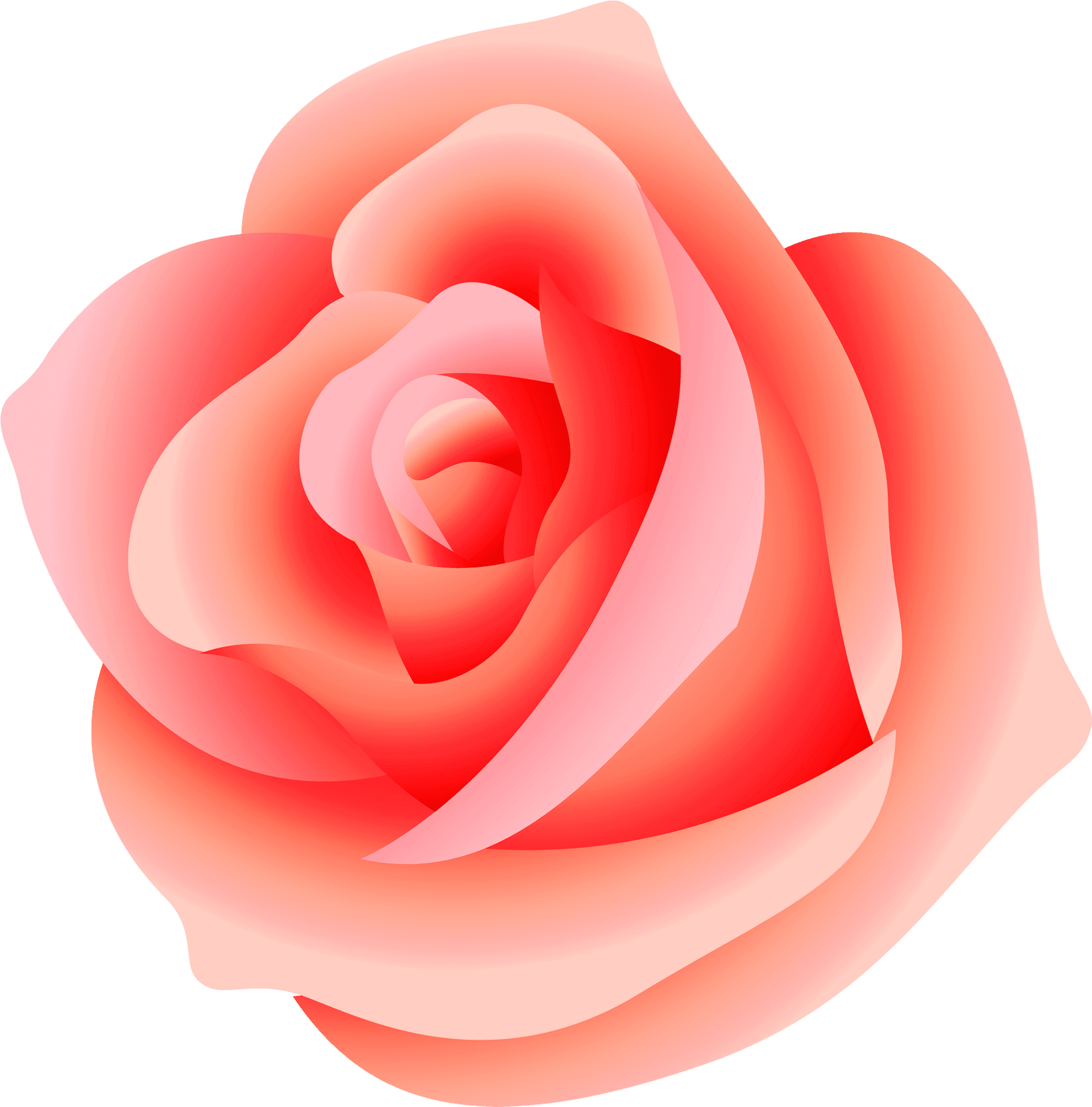 Pink Rose Vector Illustration PNG