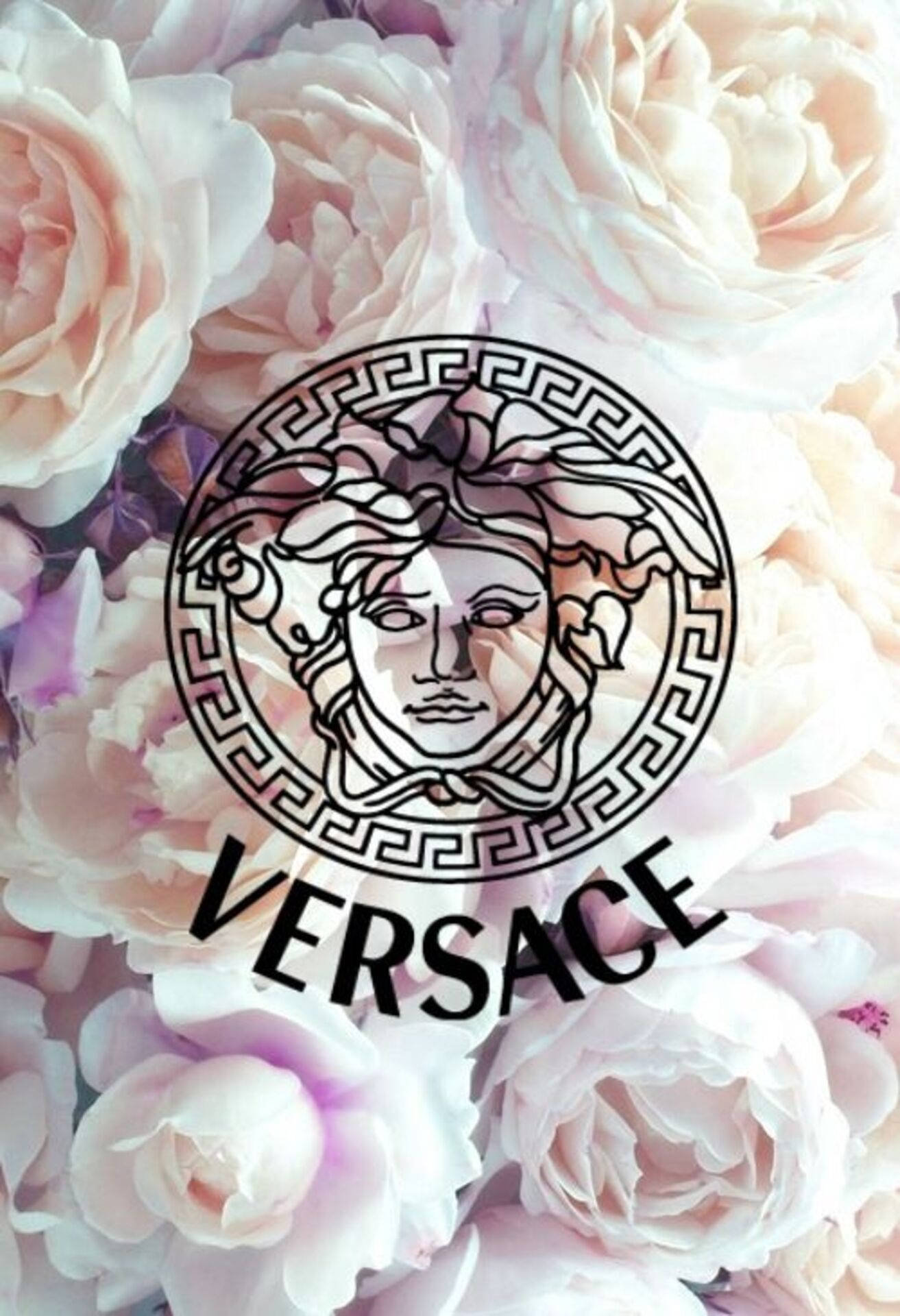 Versace's Pink Rose Look for a Fashionable Vibe Wallpaper