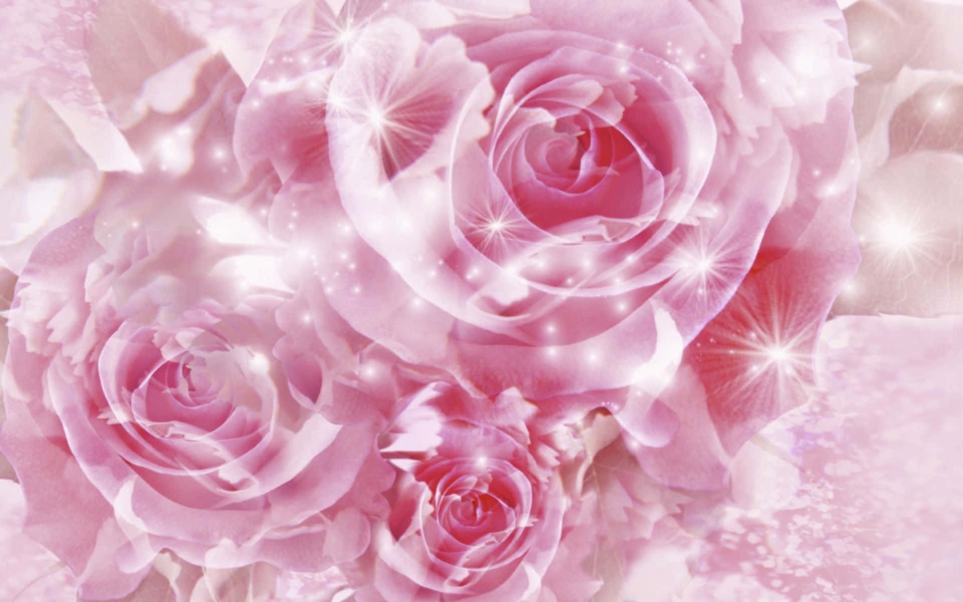 Pink Roses With Sparkly Effect Background