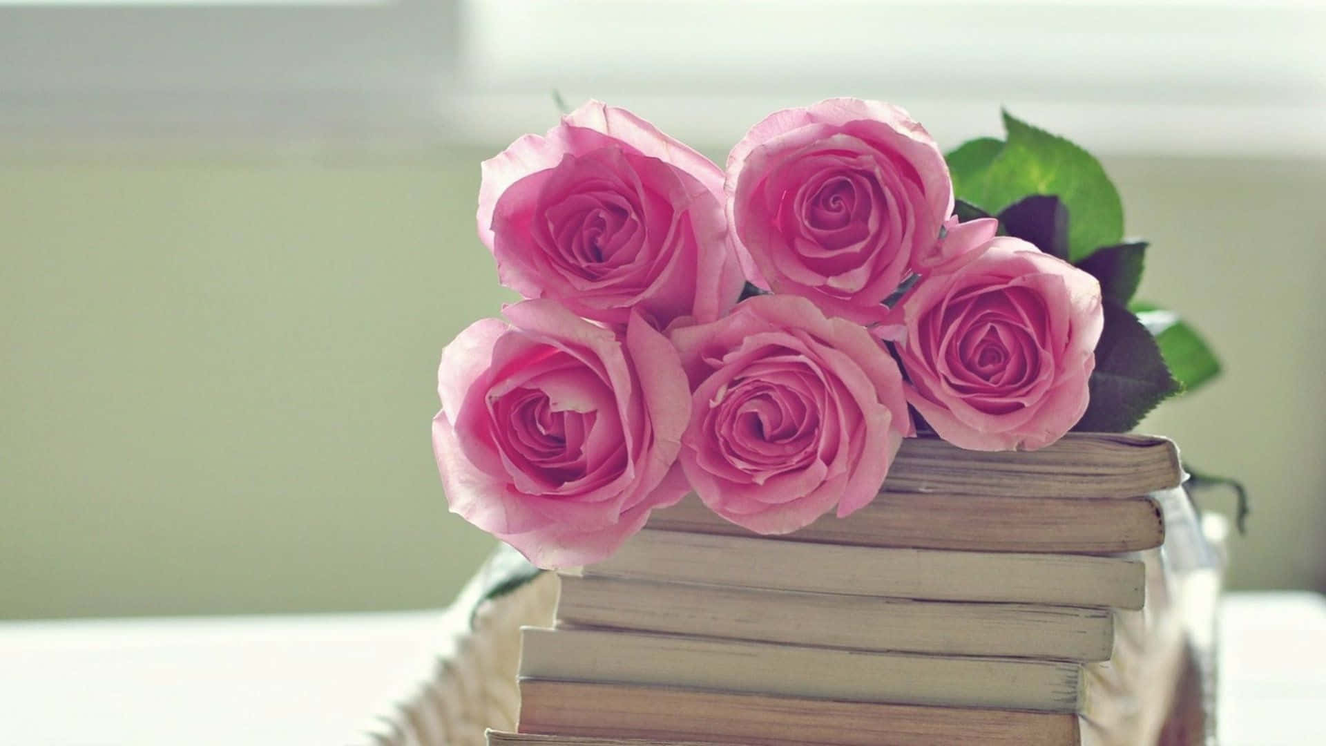 Pink Roses On Books Background