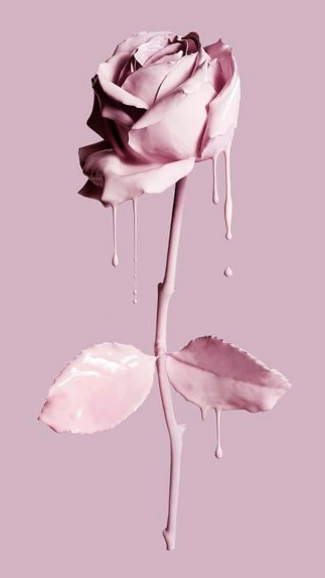 En buket med elegante pink roser