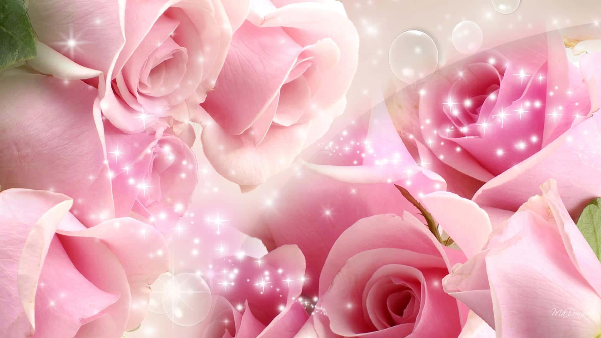 Pink Roses With White Sparkle Background