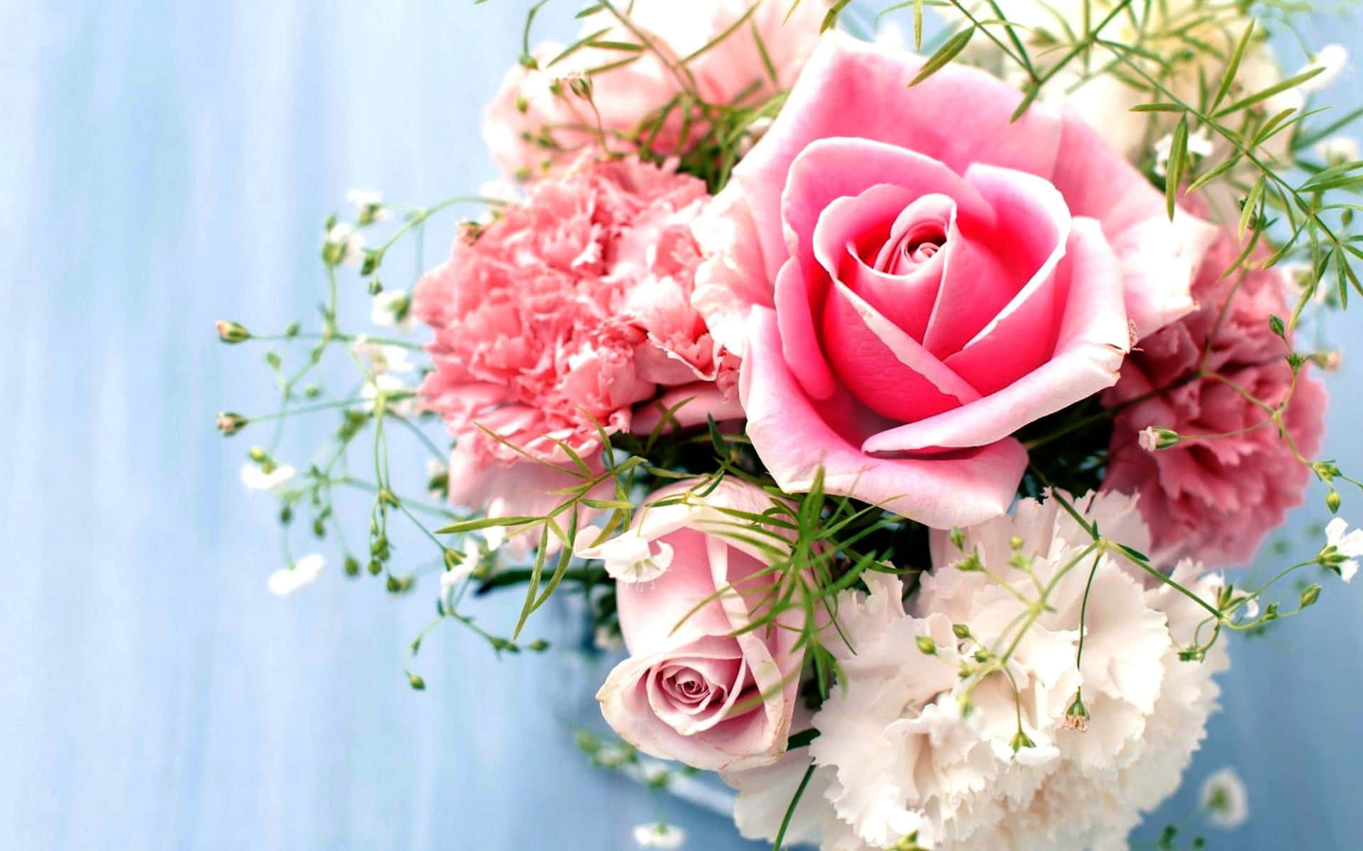 Pink Roses And Carnations Background