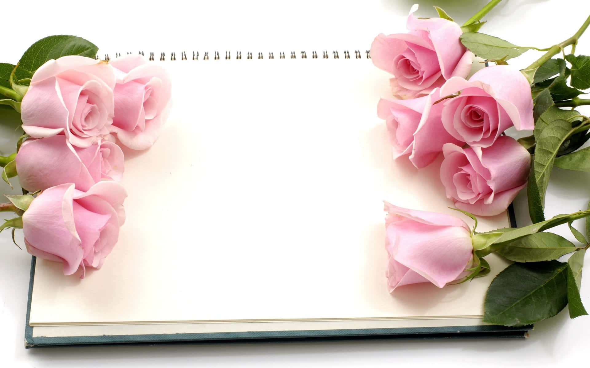 Pink Roses Background 2560 X 1600