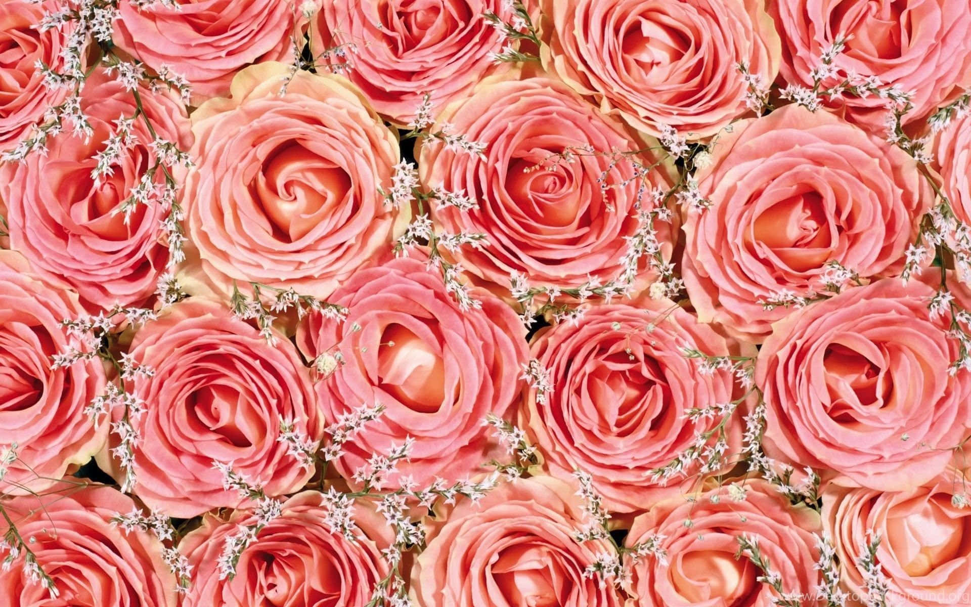 Pink Roses In A Bouquet