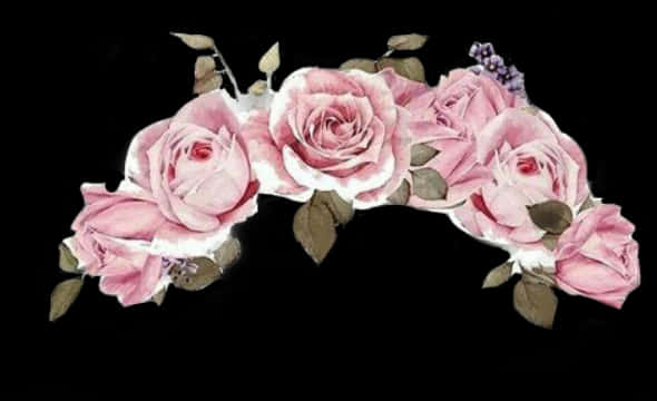 Pink Roses Black Background PNG