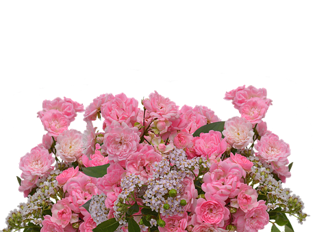 Pink Roses Bouquet Black Background PNG