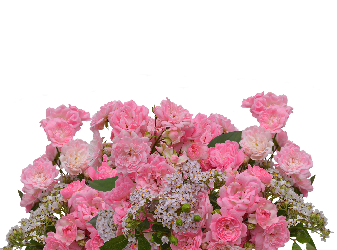 Pink Roses Bouquet Black Background PNG