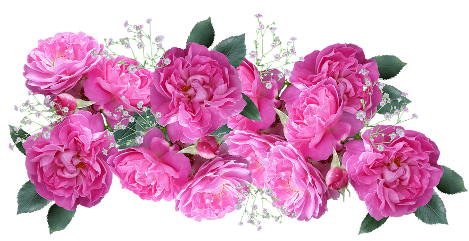 Download Pink Roses Bouquet Transparent Background 