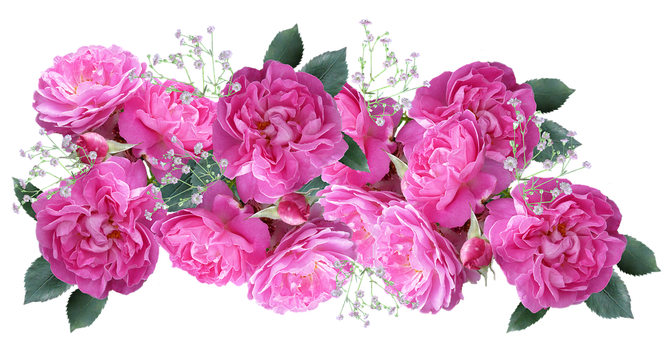 Pink Roses Bouquet Transparent Background PNG