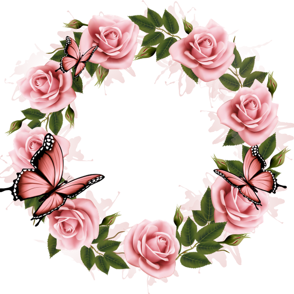 Pink Roses Butterfly Frame PNG