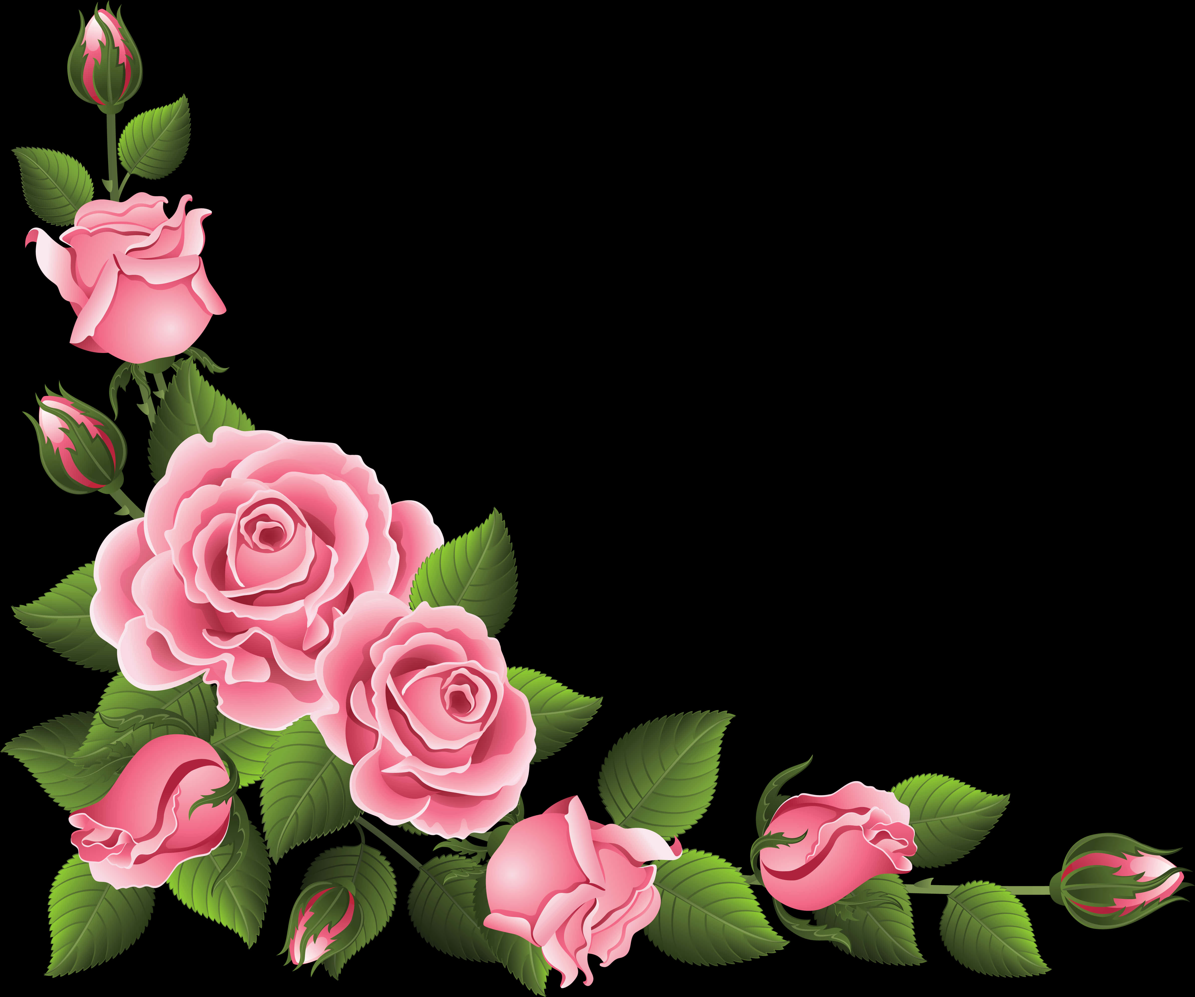 Pink Roses Floral Border Design PNG