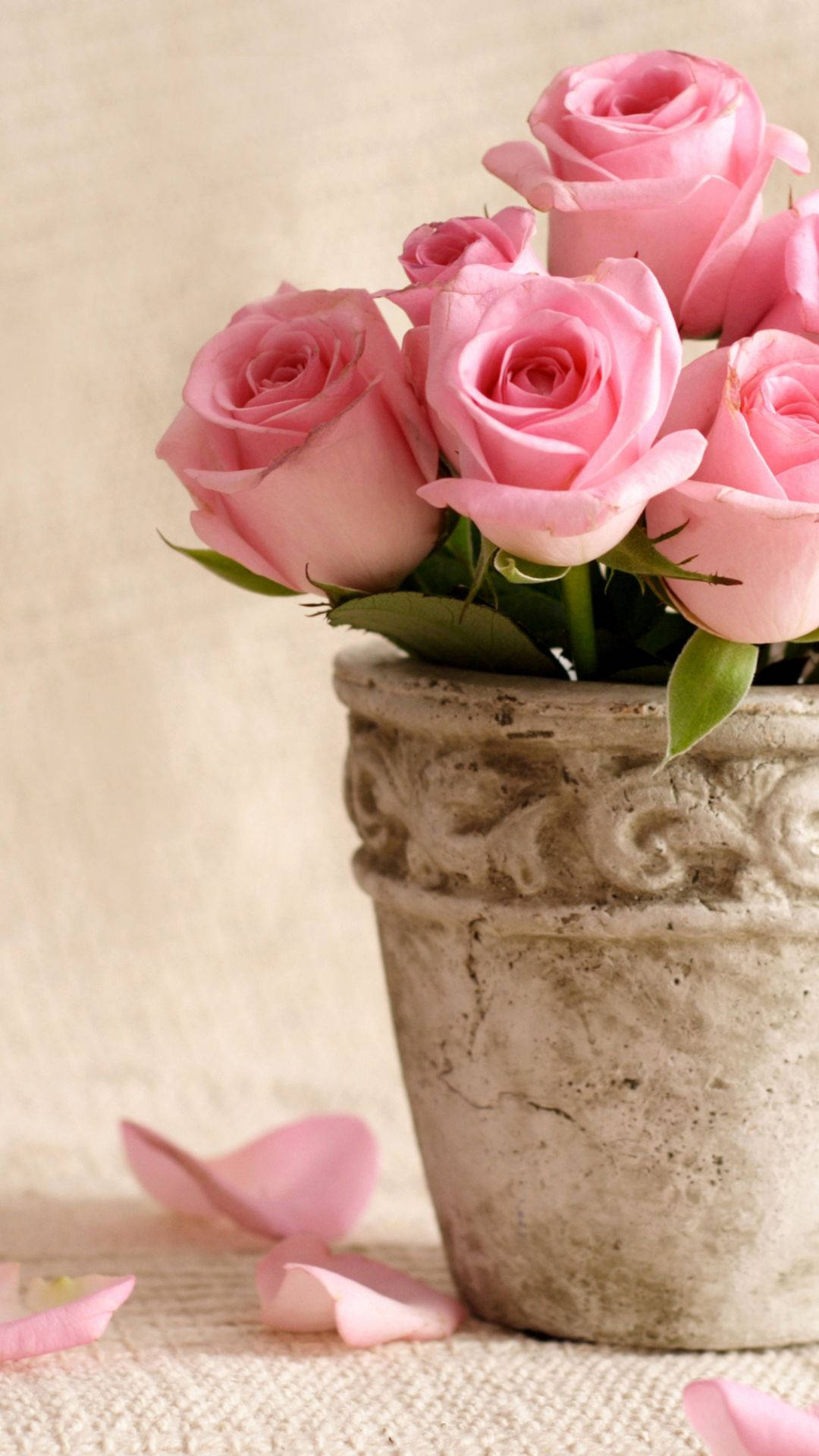 Pink Roses In A Flower Vase Wallpaper