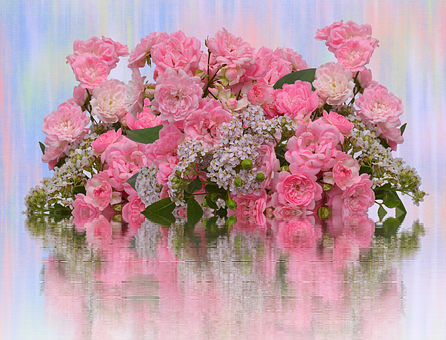 Pink Roses Reflection Arrangement PNG