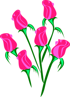 Pink Roses Vector Art PNG