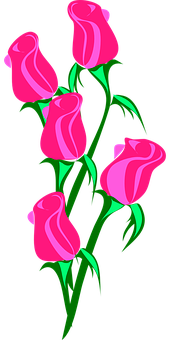 Pink Roses Vector Art PNG