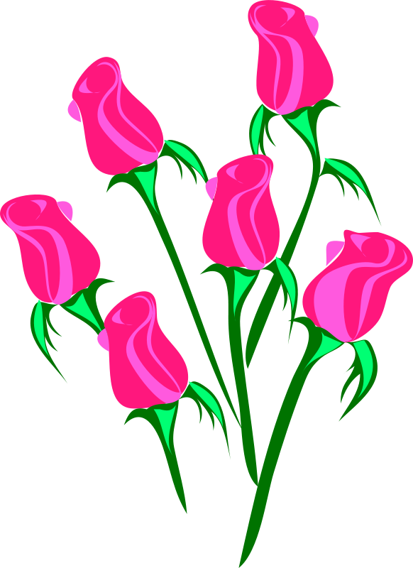 Pink Roses Vector Illustration PNG