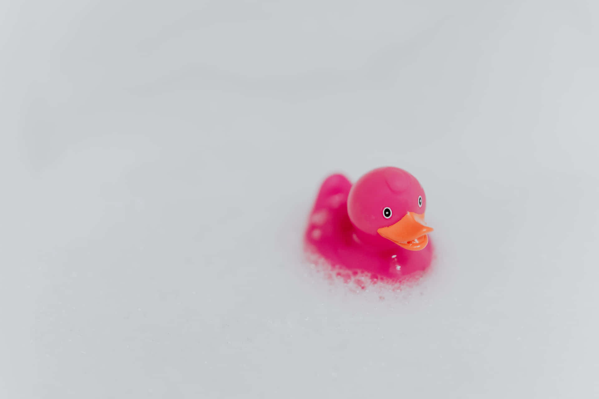 Pink Rubber Duckyin Bath Wallpaper