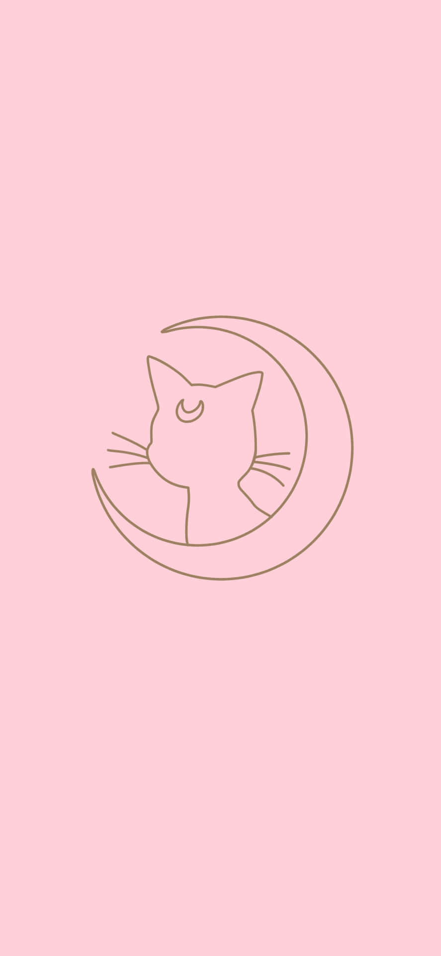 Pink Sailor Moon Inspired Cat Design Wallpaper
