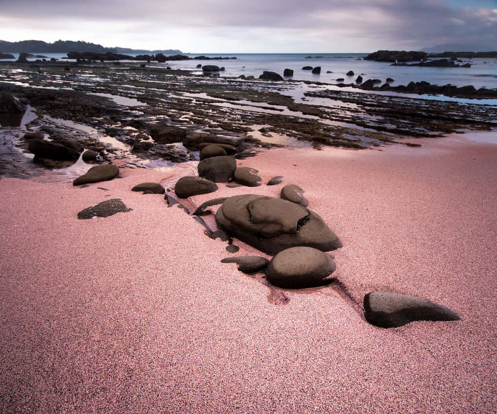 Experience the surreal beauty of Pink Sand Beach Wallpaper