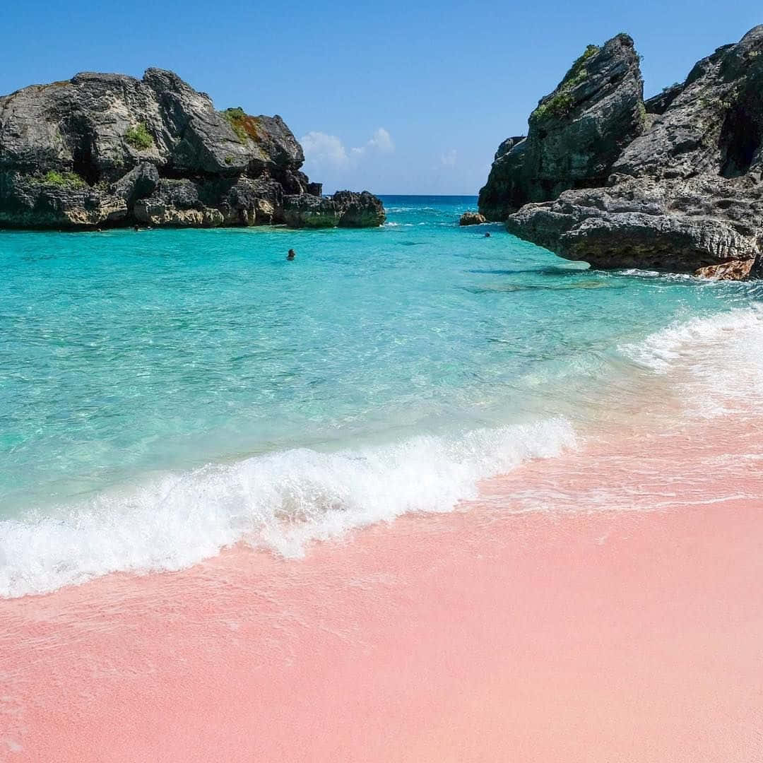 Experience the Serenity of Pink Sand Beach Wallpaper