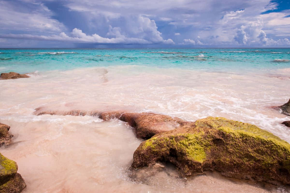 Magisch Roze Zandstrand Tegen Kristalhelder Water Achtergrond