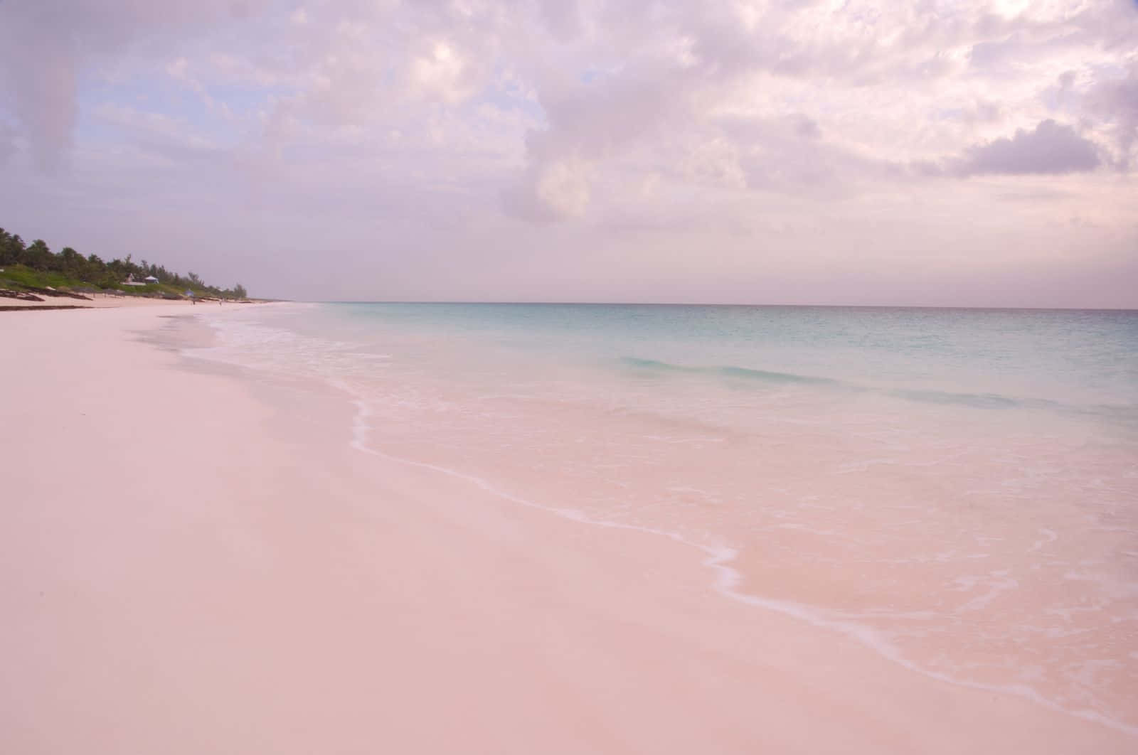 A Scenic View of the Pink Sand Beach and Crystal Blue Waters Wallpaper