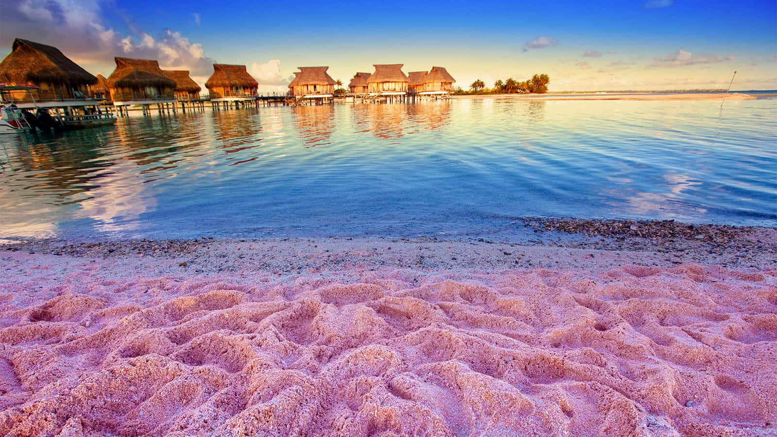 A Stunning View of Pink Sand Beach Wallpaper