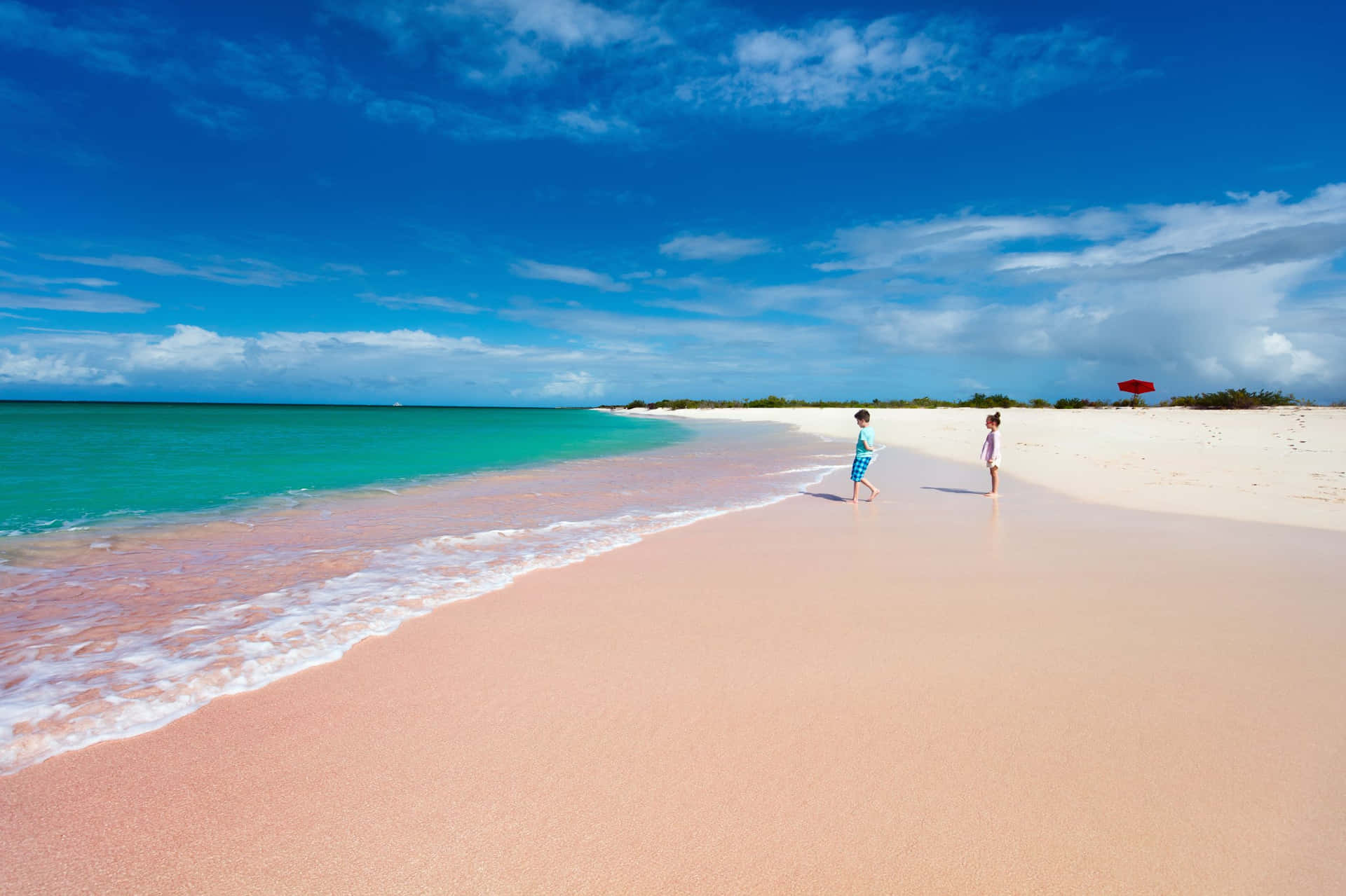 Serene Pink Sand Beach during Golden Hour Wallpaper
