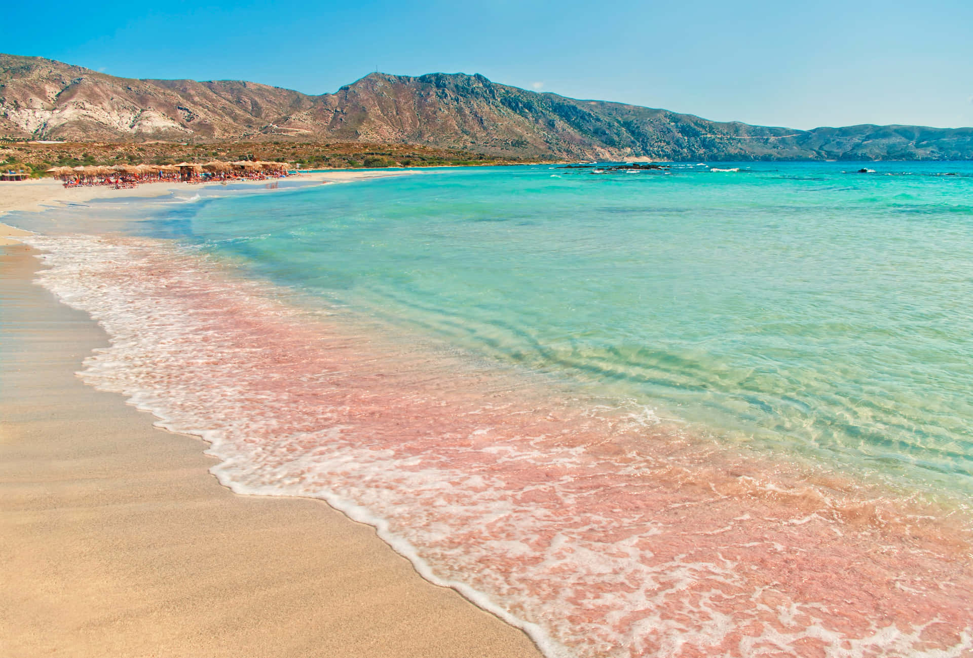 Stunning Pink Sand Beach Glistening under the Sun Wallpaper