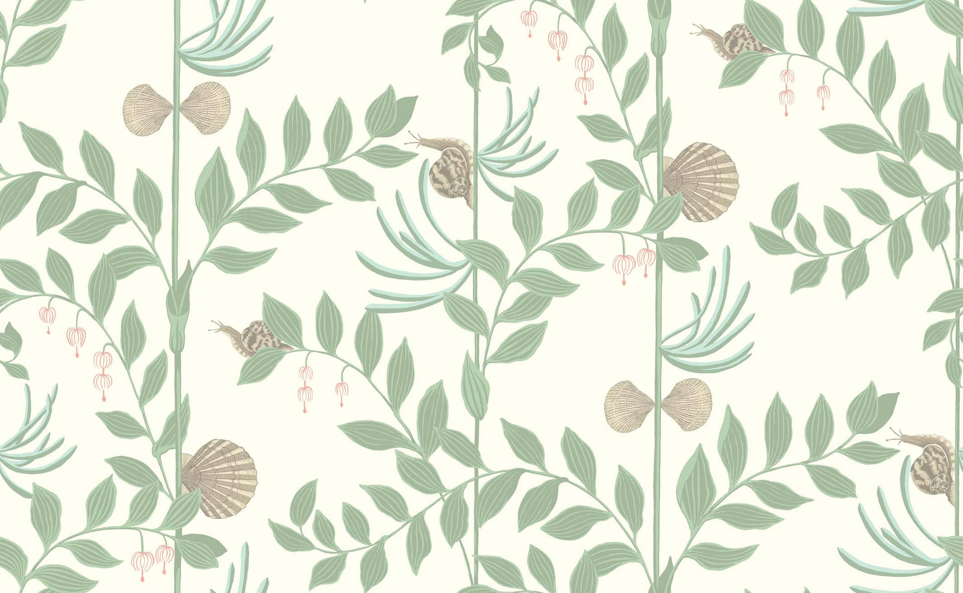 Rosasnäckor I Salviagrön För Skrivbordsbakgrund. Wallpaper