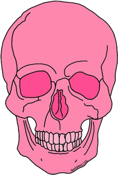 Pink Skull Illustration PNG