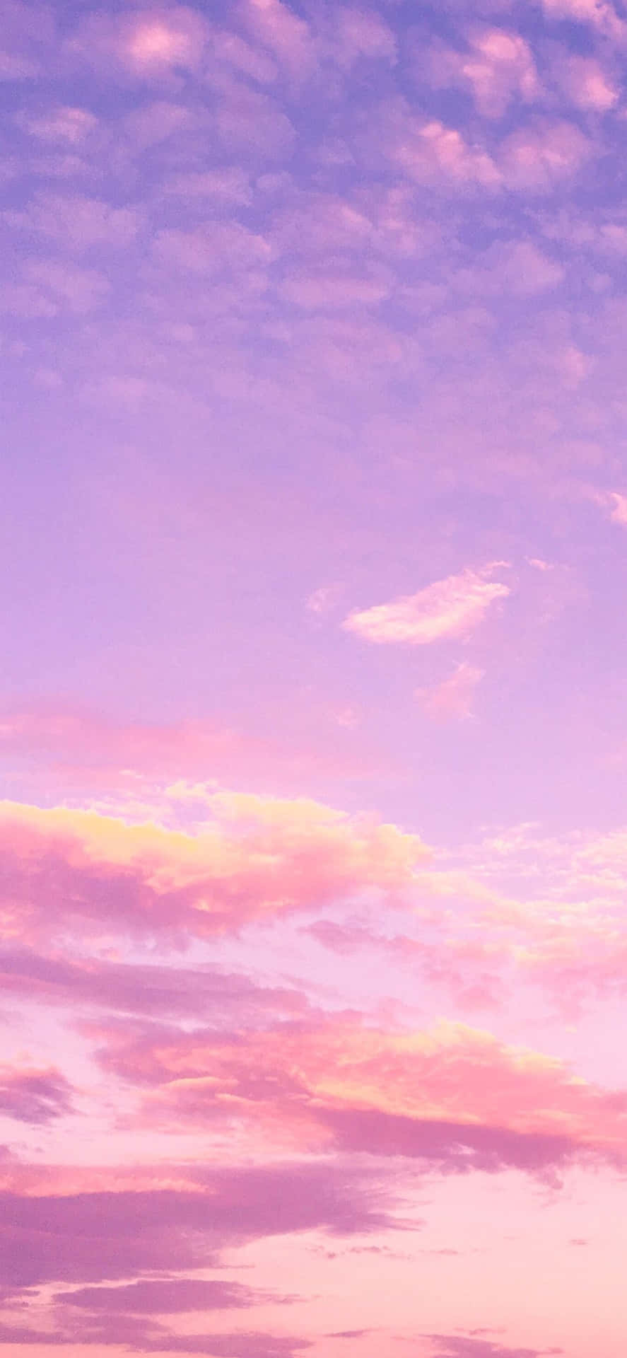 Stunning Pink Sky at Twilight Wallpaper