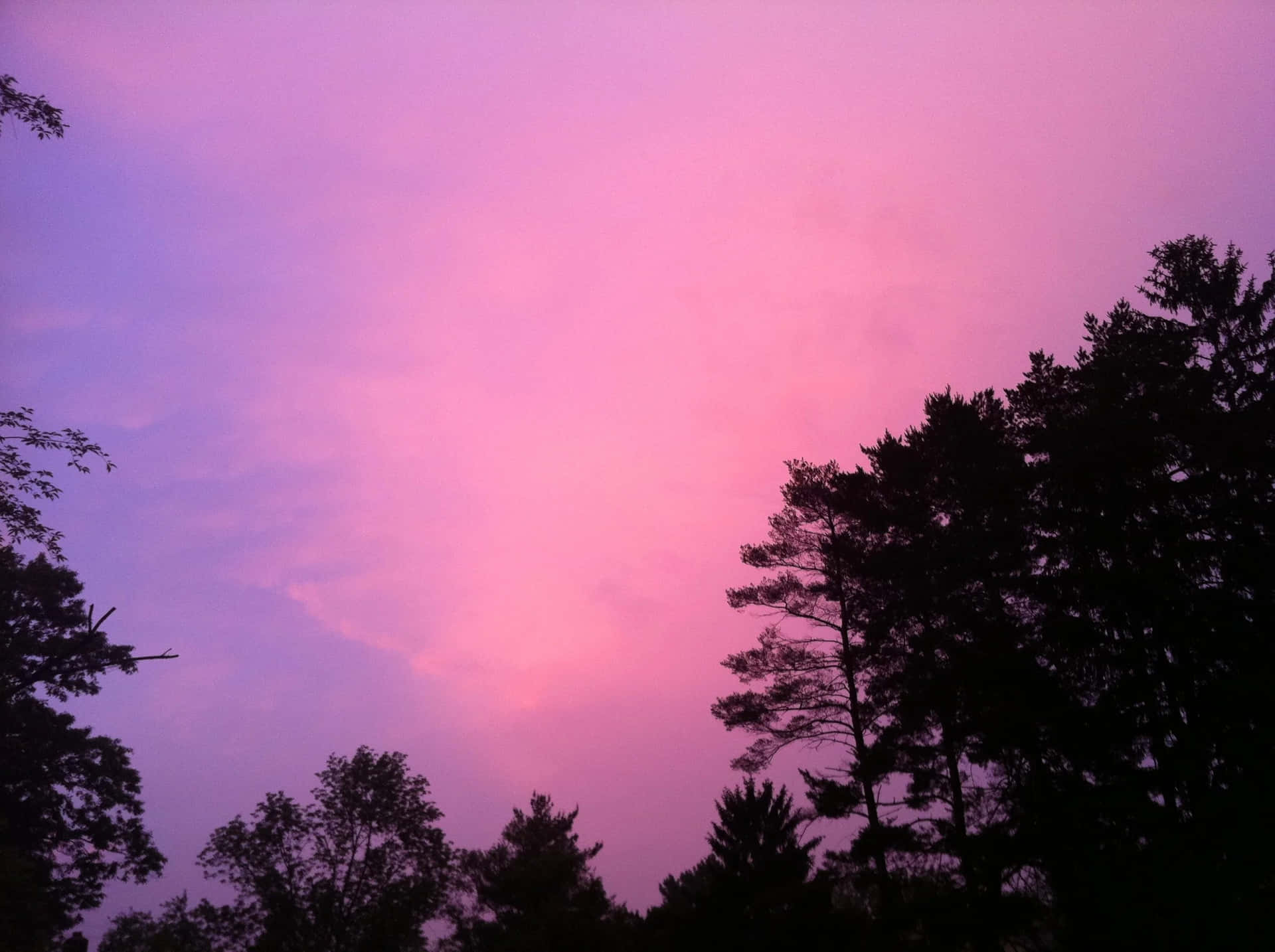 Serene Roze Lucht Bij Schemering Achtergrond